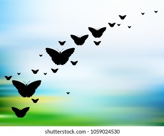Butterflies black silhouette