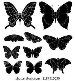 butterflies black silhouette