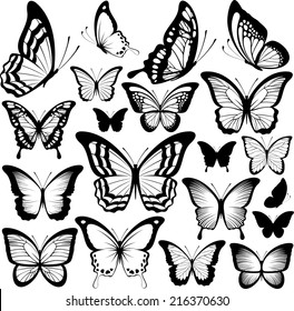 butterflies black silhouettes isolated on white background