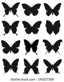 Butterflies, black silhouettes on white background, vector