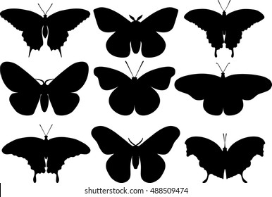 Butterflies black silhouettes on white background. Set of different types of butterflies isolated on white background in flat style. Vector illustration.