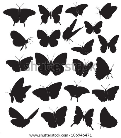 butterflies, black silhouettes on white background, vector