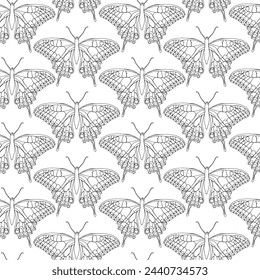 Butterflies black and white ink line vector symmetry seamless pattern background for textile, fabric, wallpaper, scrapbook. Insects with wings drawing for surface design