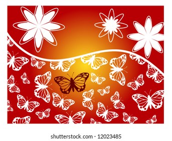 mariposas y flores