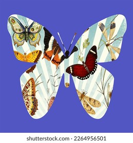 butterflies in butterfly vector on blue