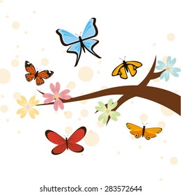 butterflies card design, vector illustration eps10 graphic 