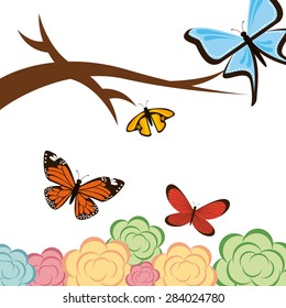 butterflies card design, vector illustration eps10 graphic 