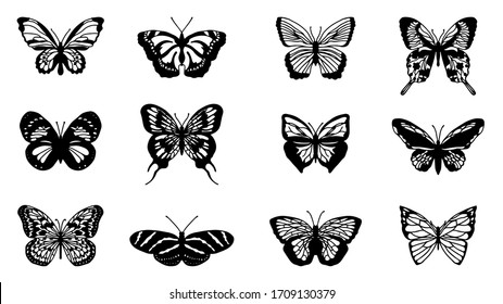 Butterflies carve set, Vector illustration.