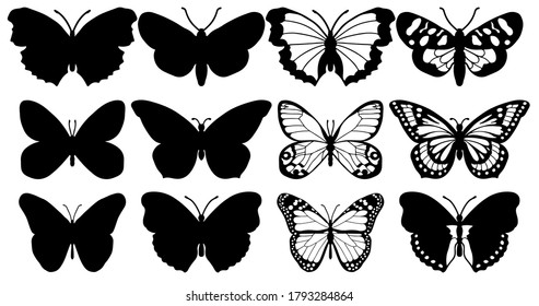 Butterflies carve, shadow and line set, Vector illustration.