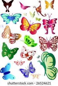 butterflies collection