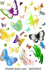 butterflies collection