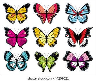 butterflies collection