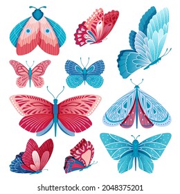 Butterflies collection. Butterfly flying, isolated multicolor and blue insect. Vintage moth, artistic decorative elements. Nature wild swanky vector animals