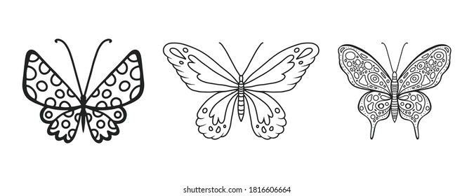 Butterflies collection, illustration and drawing, engraving, ink, line art. Vector drawing in line style. Design elements for a beauty salon, hairdresser, beauty industry. Logo, illustration for the