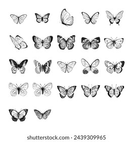 Butterflies Collection, Vector and Resizeable, Scribble Art of Butterflies, Handdrawn Butterflies, Collection of Butterfly