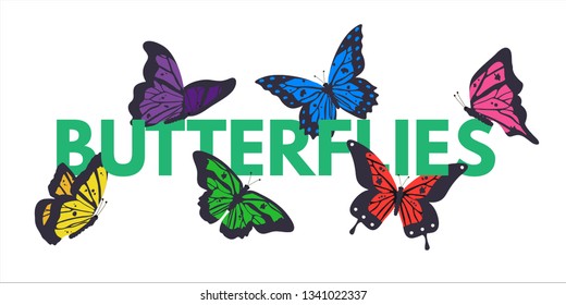 Butterflies color vector banner with copyspace. Tropical insects flying in garden. Red and yellow bugs illustration for biology, entomology magazine. Wildlife and nature. Design element for scrapbook