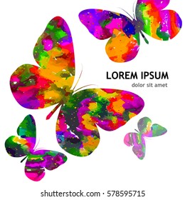 Butterflies colored background. Vector