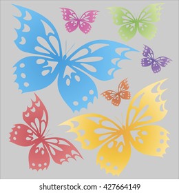 Butterflies colorful on the gray background