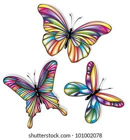 Butterflies with colorful wings on white background. Vector set