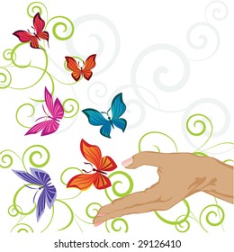butterflIes curves