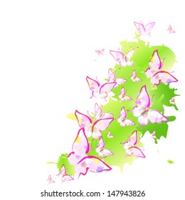 butterflies design