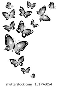 butterflies design 