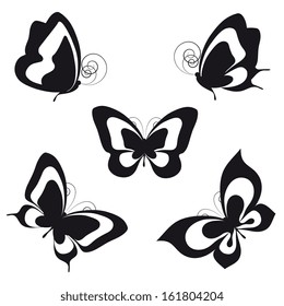 butterflies design