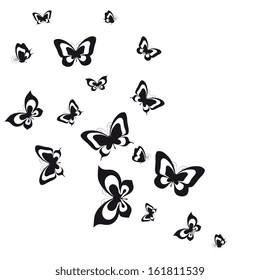 butterflies design