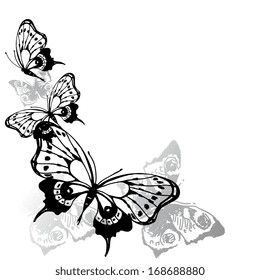 butterflies design