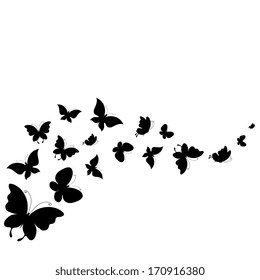 Butterflies Design