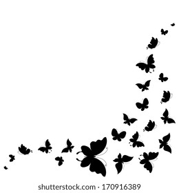 butterflies design