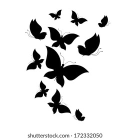 butterflies design