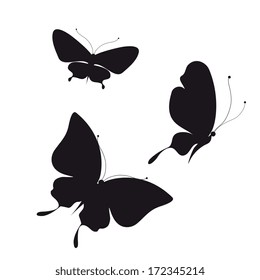 butterflies design