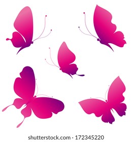 butterflies design
