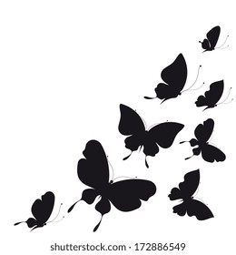 butterflies design