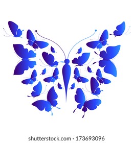 butterflies design