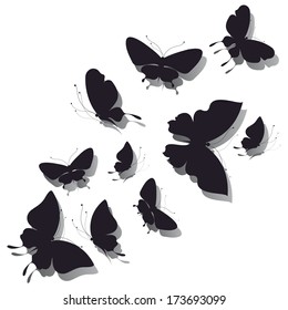 butterflies design