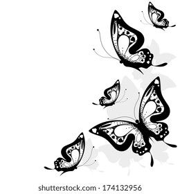 butterflies design
