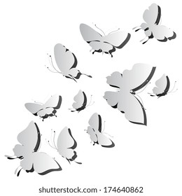 butterflies design