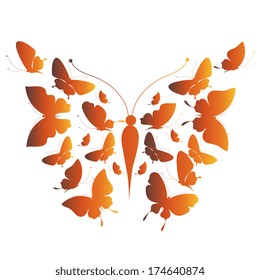 butterflies design