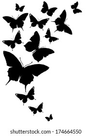 butterflies design