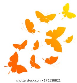 butterflies design