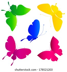 butterflies design