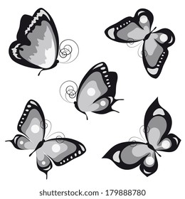 butterflies design