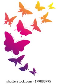butterflies design
