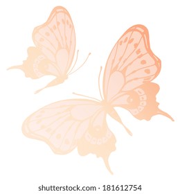 butterflies design