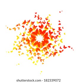 butterflies design