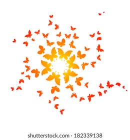 butterflies design