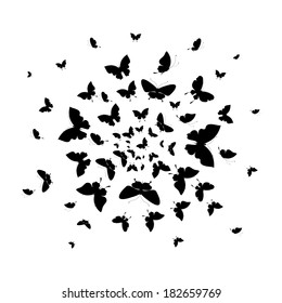 butterflies design