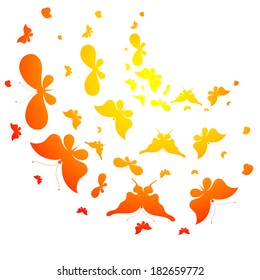 butterflies design